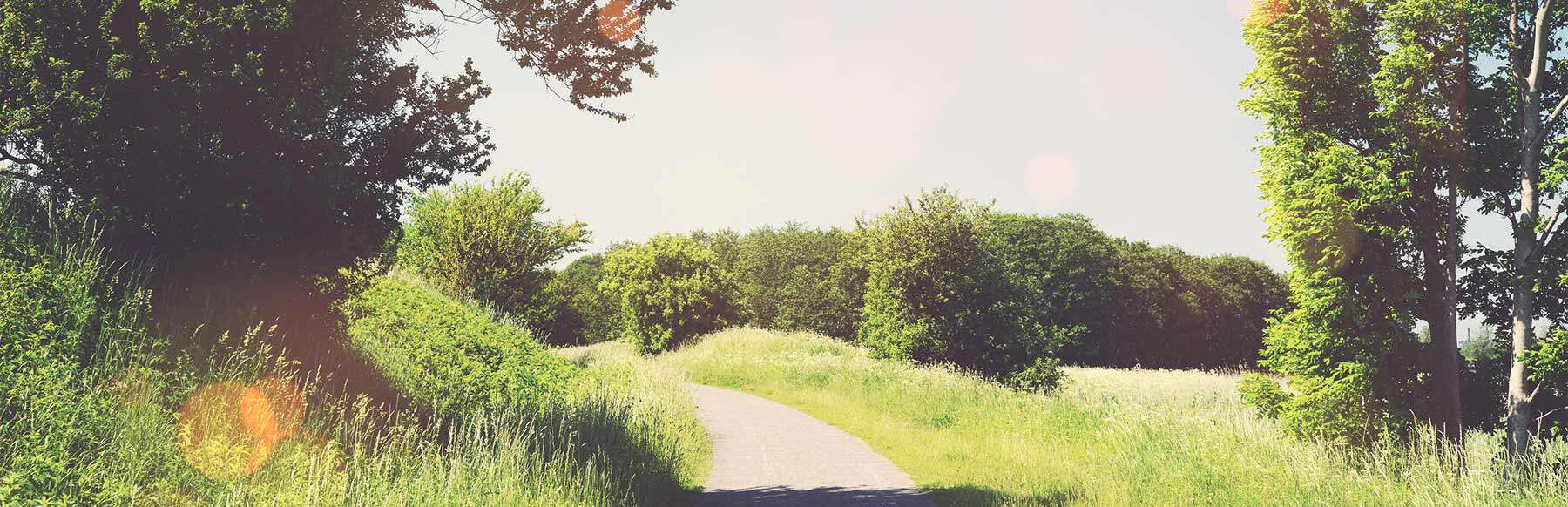 gfp-radwege-wanderwege-natur